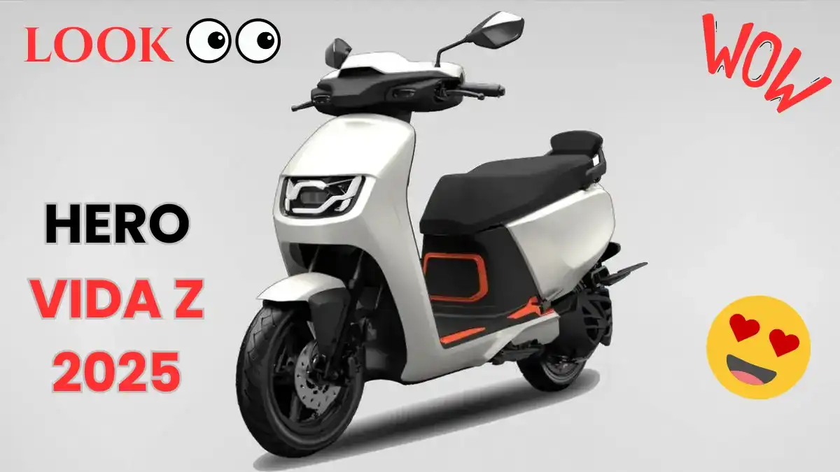 Vida Z 2025
